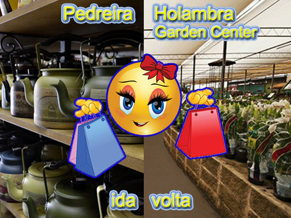 Image Result For Garden Center Holambra
