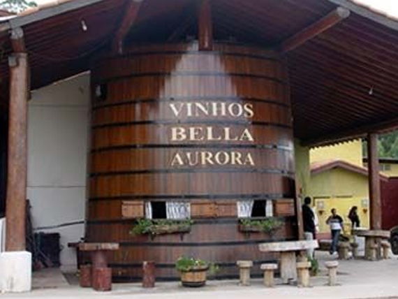 Excursão para São Roque I Rota do Vinho I Angulo Travel