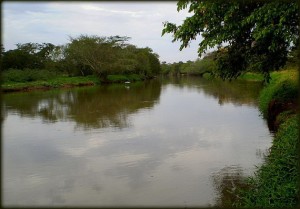 rio-jacare-guacu