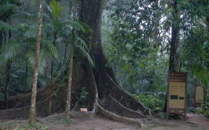 Mirante_do_Governador