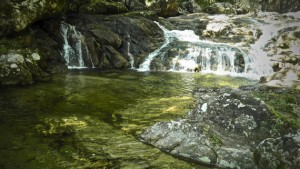 Trilha_da_Cachoeira_do_Araca